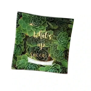 WHAT'S UP SUCCULENT DECORATIVE DISH